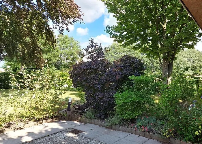 別荘 Sonnenschein *