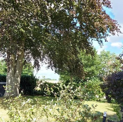 Sonnenschein 別荘 Scheggerott